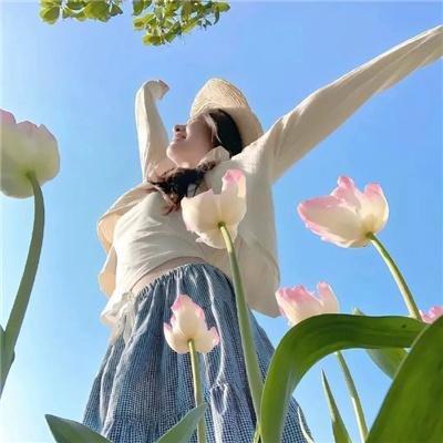 泡影昙花
